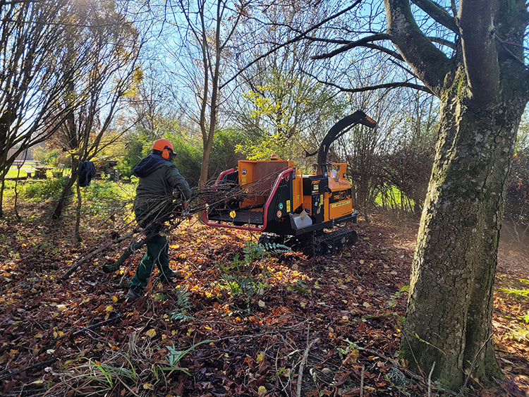 Link zu Gartenpflege