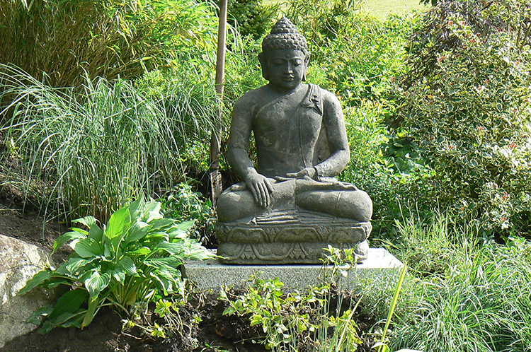 Link zu Impressionen