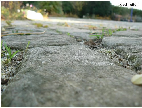 Impressionen
