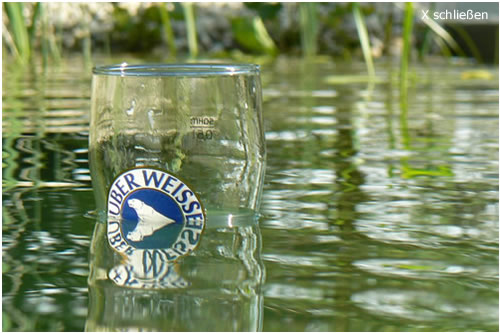 Impressionen am Teich